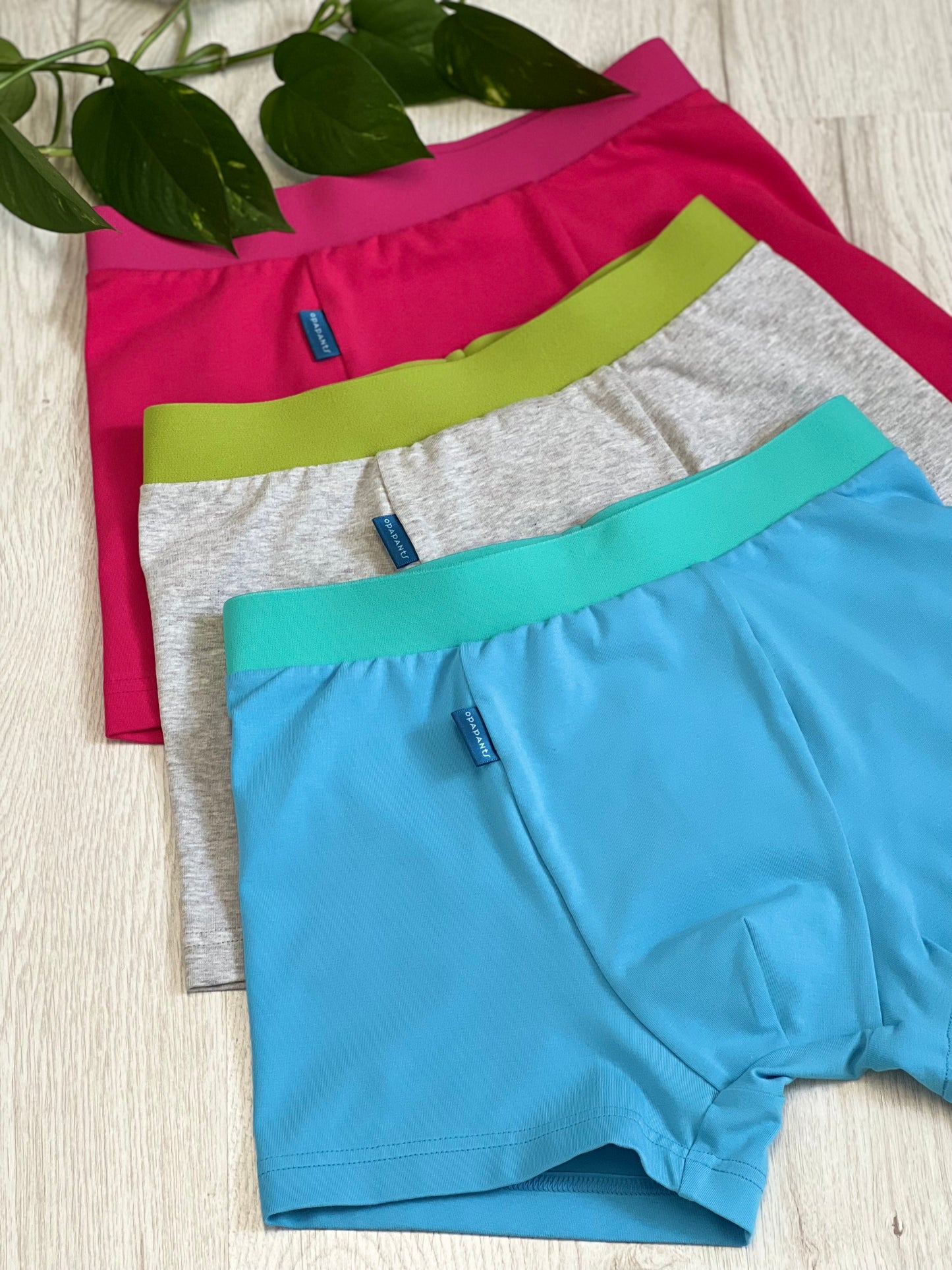 Boys’ Organic Cotton Boxer Briefs – Turquoise with Mint Waistband