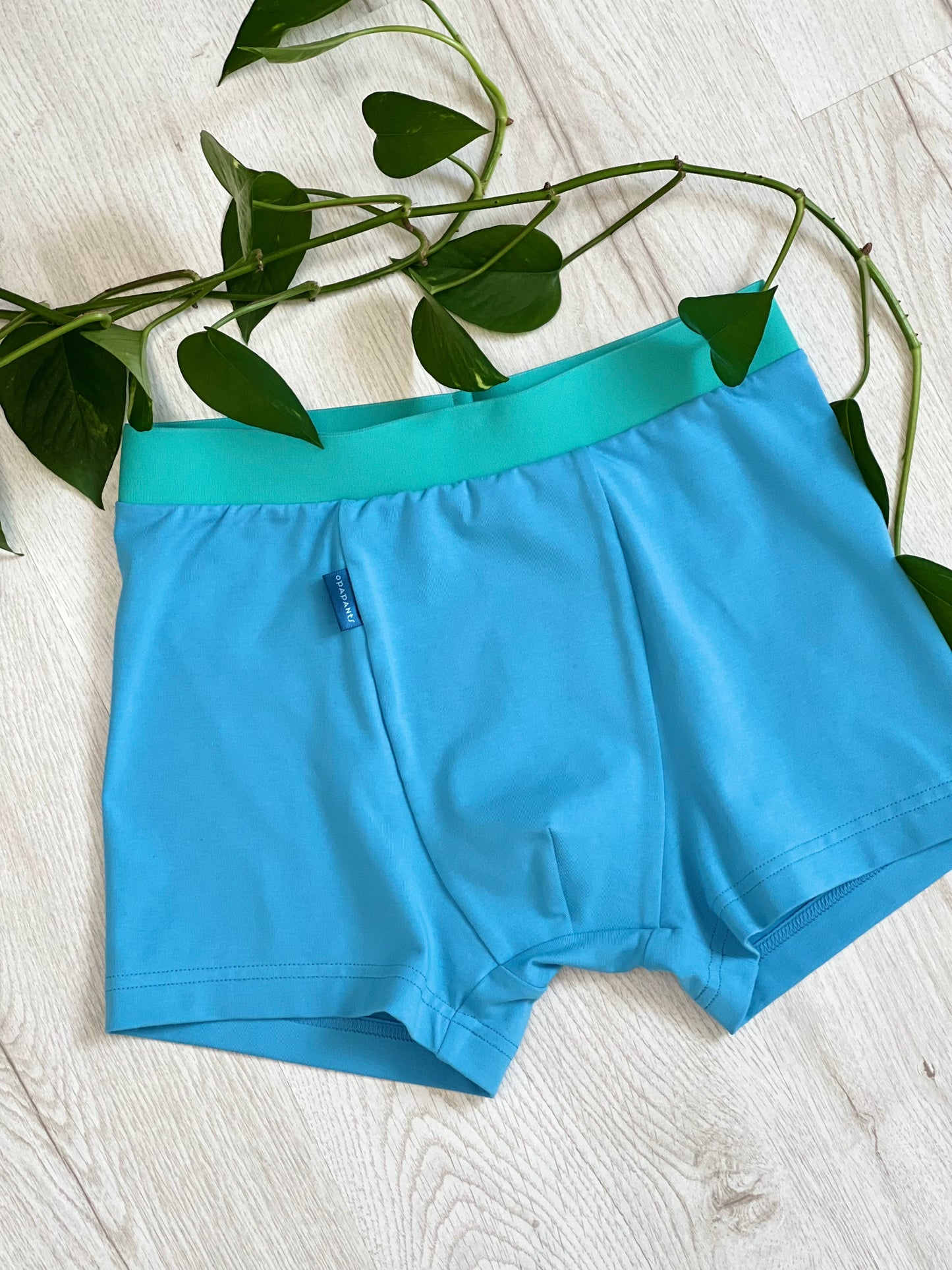 Boys’ Organic Cotton Boxer Briefs – Turquoise with Mint Waistband