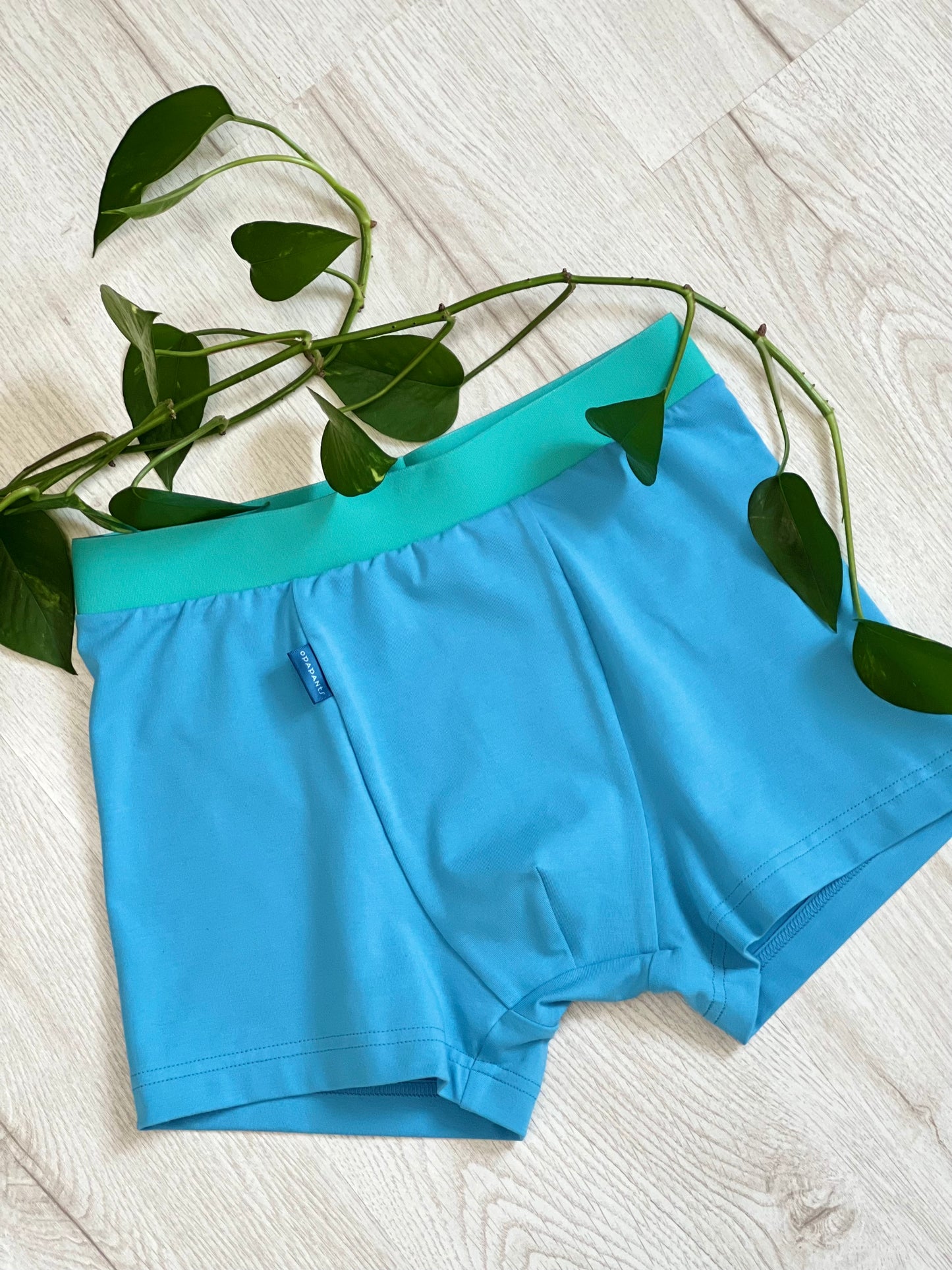 Boys’ Organic Cotton Boxer Briefs – Turquoise with Mint Waistband