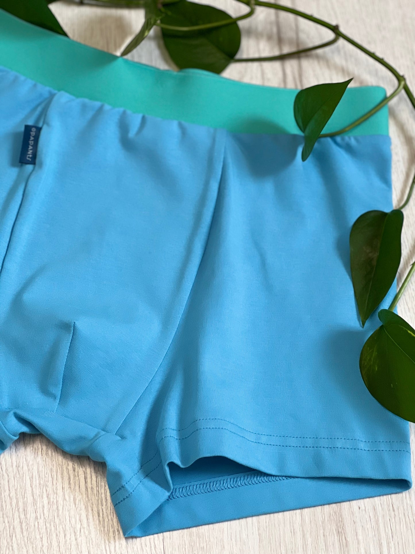 Boys’ Organic Cotton Boxer Briefs – Turquoise with Mint Waistband